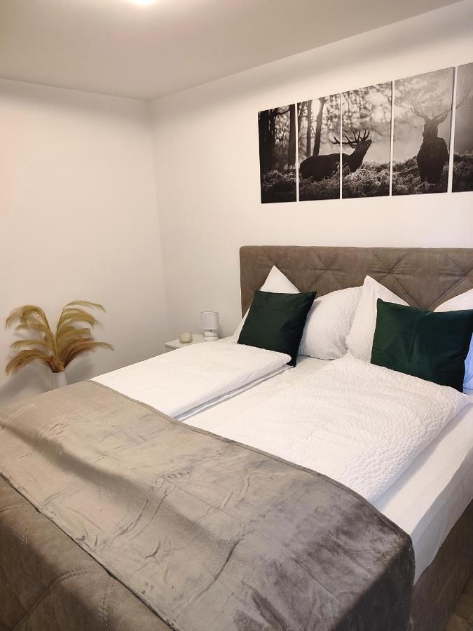 Modern Mountain Apartment - Free Parking & Sauna Обертауэрн Экстерьер фото