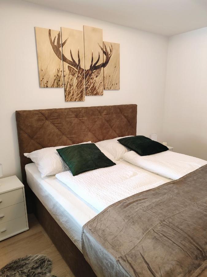 Modern Mountain Apartment - Free Parking & Sauna Обертауэрн Экстерьер фото